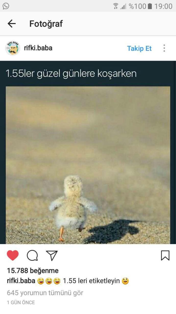 Sizce kısa boylu mu uzun boylu mu? 😂?