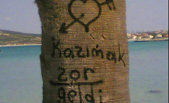 Aşk, her yere yazılır. Kalp içine yazılan değerlidir. Peki siz aşkınızı nerelere yazdınız?