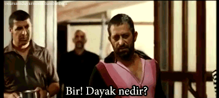 Sizin aklınızda iki soru var: Bir! Dayak nedir? İki! Neden atılır?