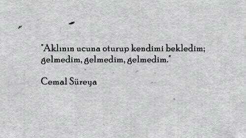 En sevdiğiniz kitap alıntısı, şarkı sözü, duvar yazısı, beğendiğiniz anlamlı  bir  söz.. nedir?