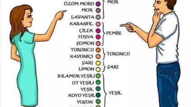 Kadınlar ve erkeklerde renk algısı?