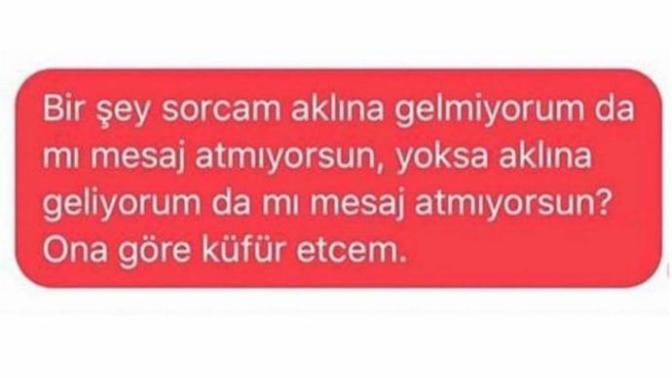 Sizce kufur etmek sanat midir?