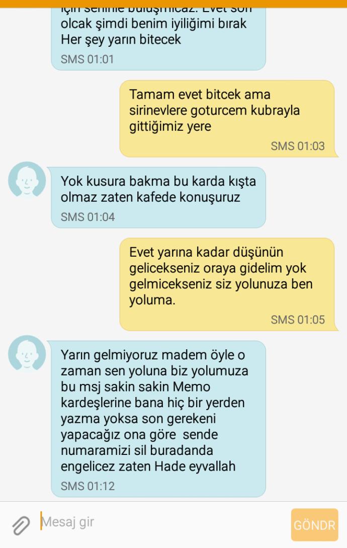 Kız kankami dudaktan öptüm Resim aşağıda?