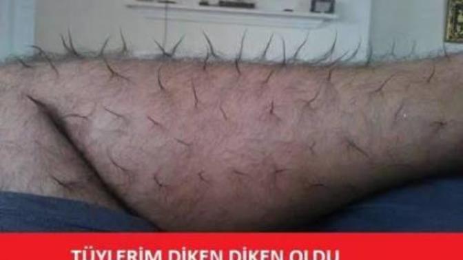 Tüylerinizi Diken Diken Yapan Duygu Nedir?
