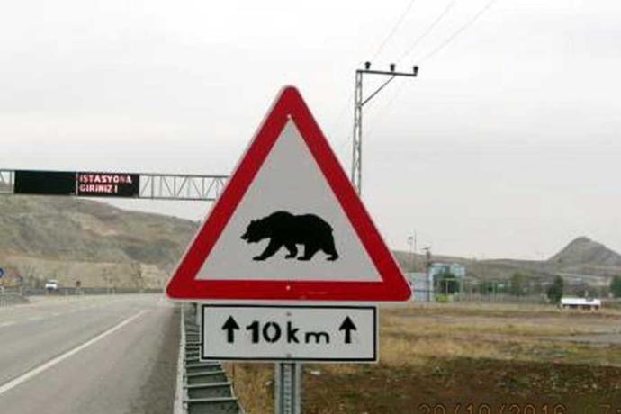 Eğer bir trafik işareti olsaydınız hangisi olurdunuz?