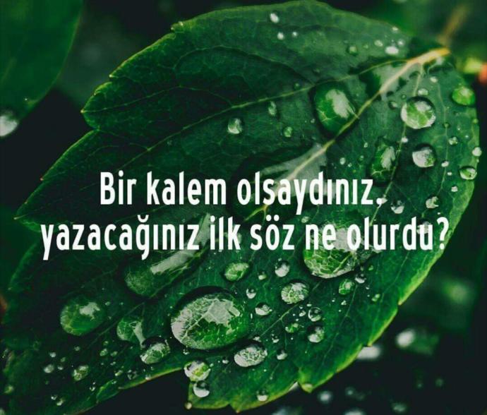 Bir kalem olsaydınız yazacağınız ilk söz ne olurdu?