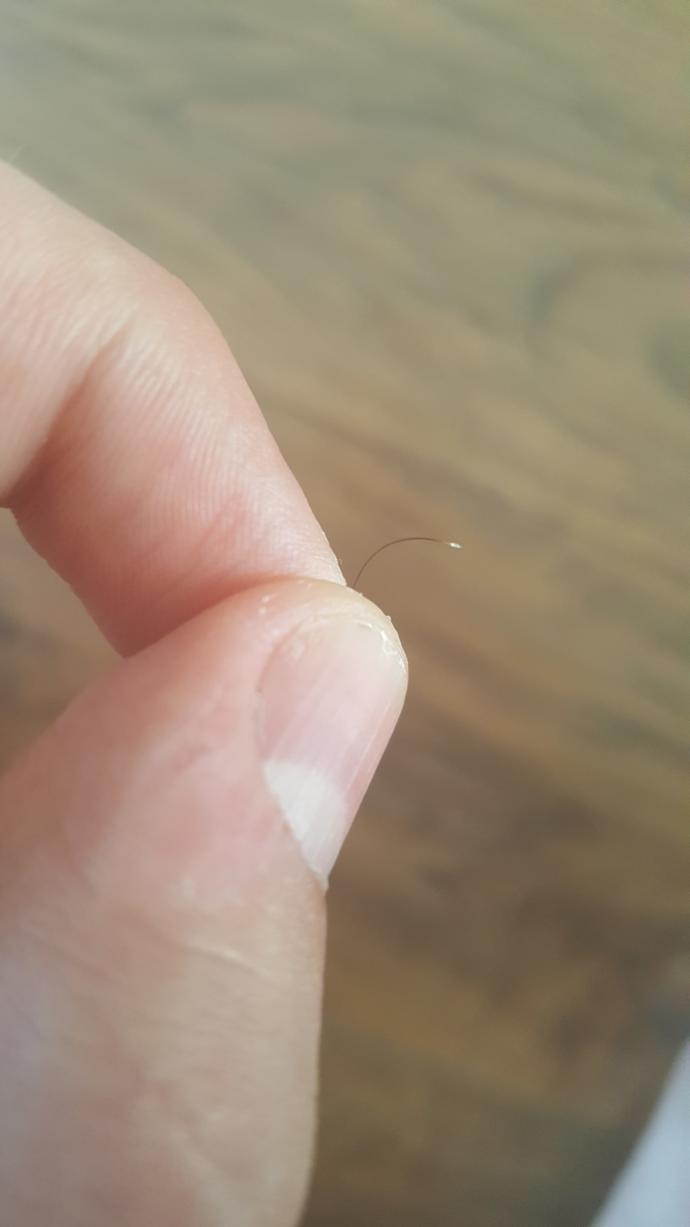 Resimdeki kılın ucundaki beyaz yer kök müdür ?