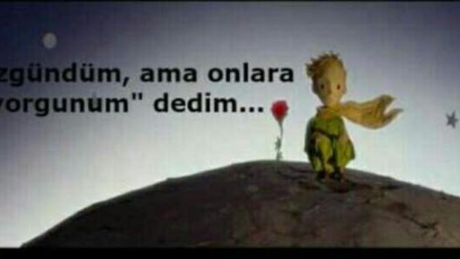 "Bir Kitap Kahramani Olmak İsteseydin Hangisi Olmak İsterdin"?