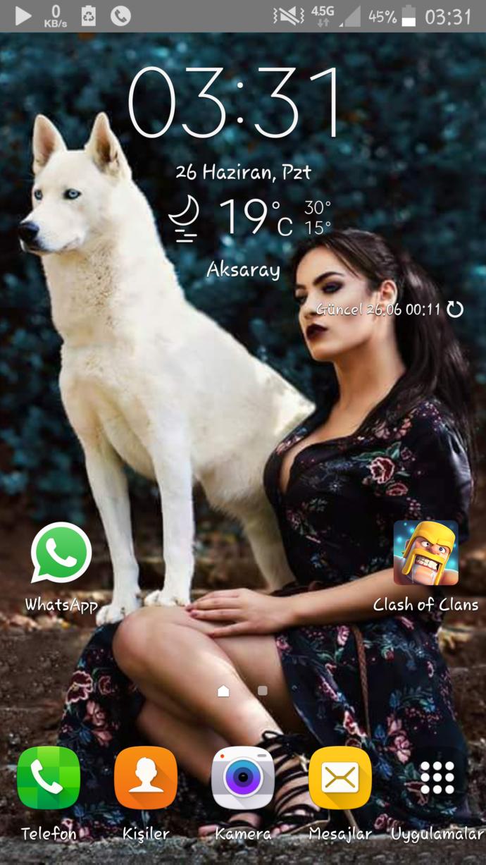 Telefon ekran fotoğrafı olarak hangisi guzel?