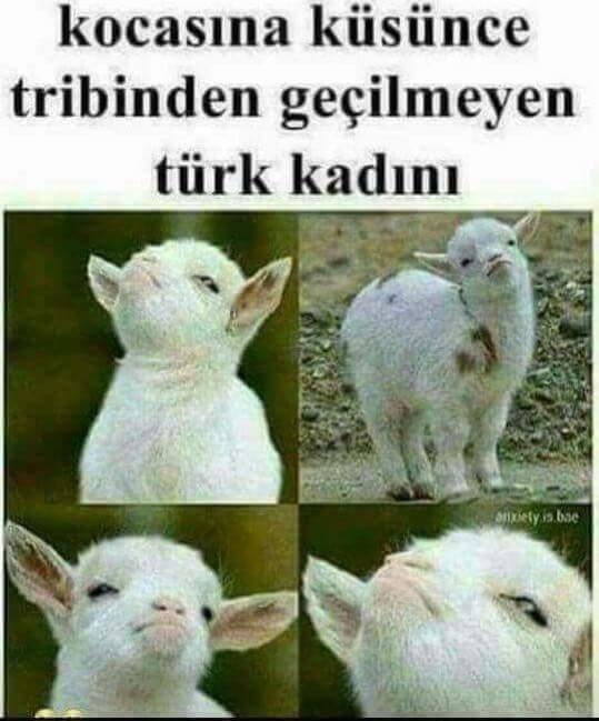 Eşine ya da sevgilisine küsme durumunuzu nasıl yansıtırsınız?