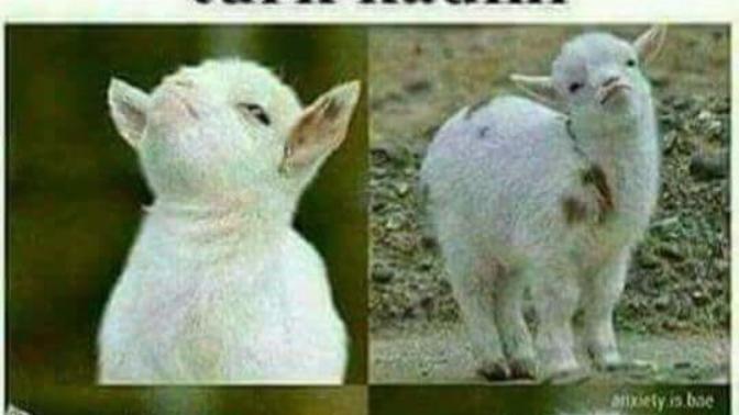 Eşine ya da sevgilisine küsme durumunuzu nasıl yansıtırsınız?