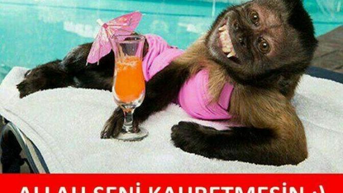 "Sabreden derviş sabretmekten gebermiş." Mi?