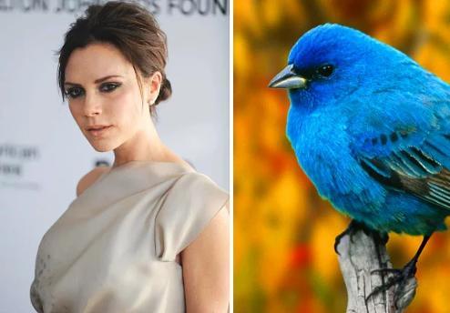 Victoria Beckham