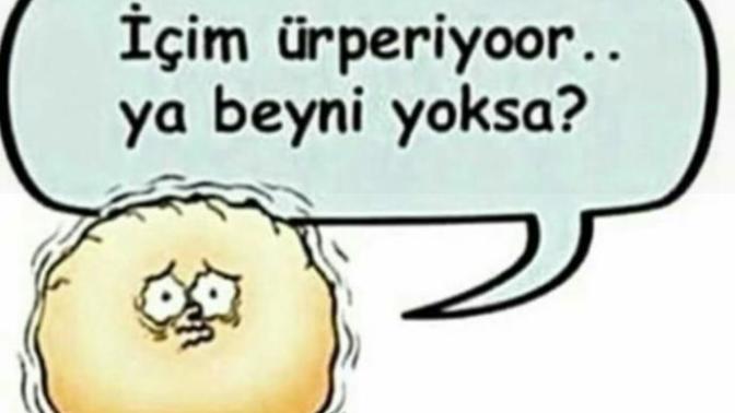 Aydın Olmak Nedir?