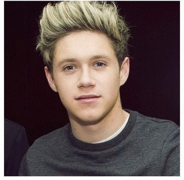 One direction grubunda sizce hangisi daha iyi (ses, tip) olarak?
