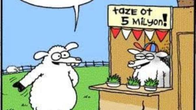 Karikatür okumayı sever misiniz?