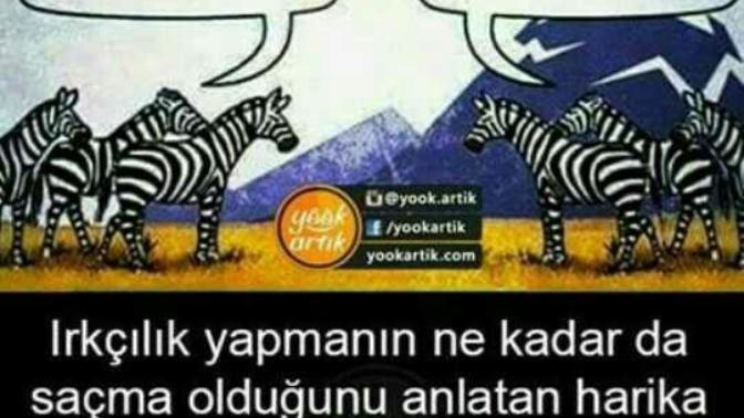 Siz ırkçı mısınız?