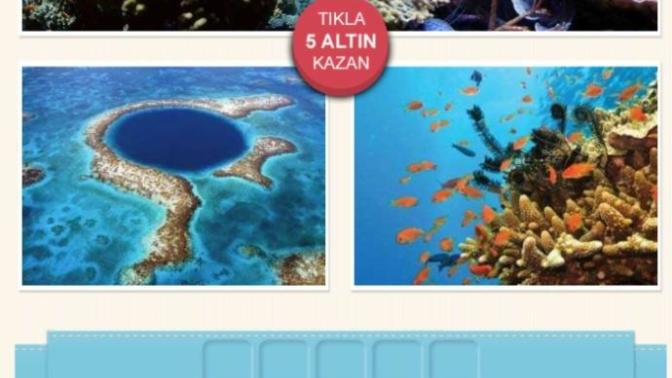 Bu hangi kelime?