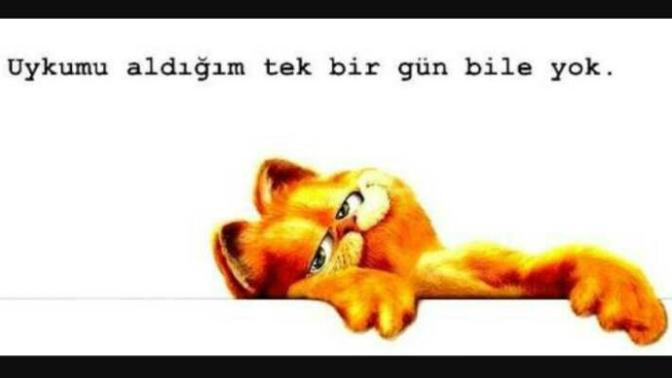 şu an o kadar uykum var ki ama uyuyamiyorum nedenki?