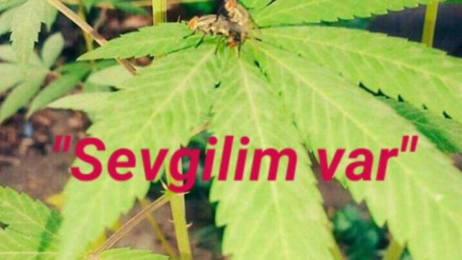 Sevgilim var ne yapmalıyım?