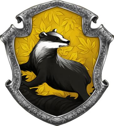 Pottermore testinde hangi binaya seçildiniz?