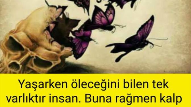 Hiç ölmeyecek gibi umursamadan mı yaşıyorsunuz siz de yoksa bir son olduğunu bilenlerden misiniz?