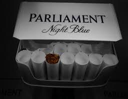 zayıflamak için sigaraya başladım ? parliament night blue içiyorum? iyi mi?