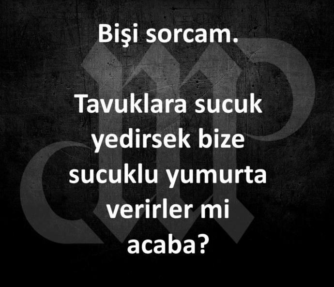 Tavuklara Sucuk Yedirilirmi ??? Dokunurmu ??