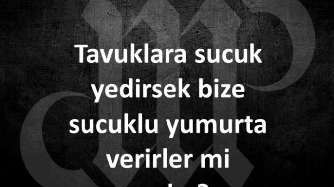 Tavuklara Sucuk Yedirilirmi? Dokunurmu?