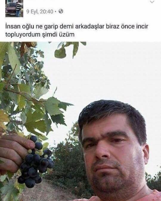 İnsan oğlu sizce de çok garip değil mi arkadaşlar?