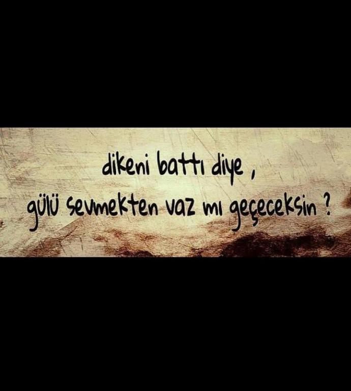 Dikeni battı diye gülü sevmekten vazgeçer misiniz?