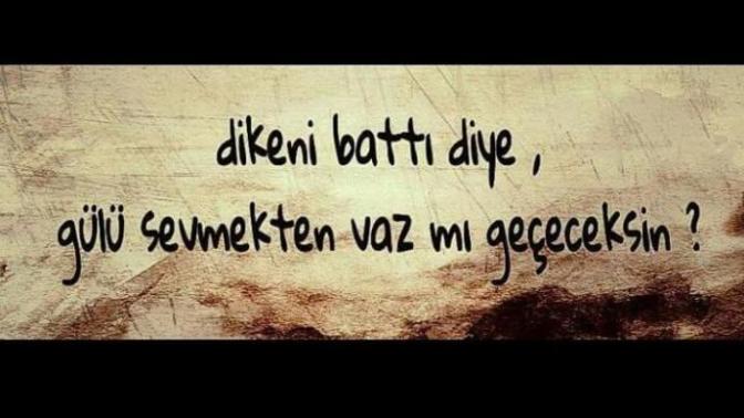 Dikeni battı diye gülü sevmekten vazgeçer misiniz?