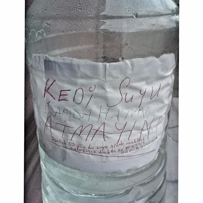 Hayvanlardan Tiksinen Var Mı?