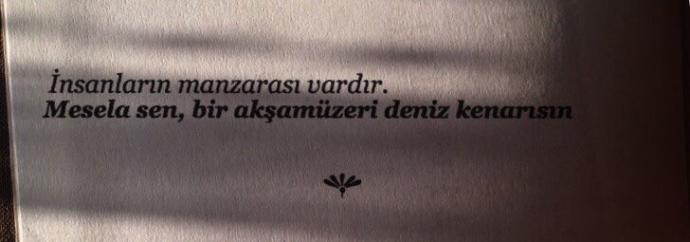 Her insanın bir manzarası vardır, sahi siz manzara olsaydınız, o manzara ne olurdu?