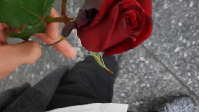Bir Kiz neden tanimadigi bir erkege gül verir? aciklamayi okuyun?