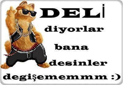 KızlarSoruyorda büyük düello ! Sitenin en delisi kim?