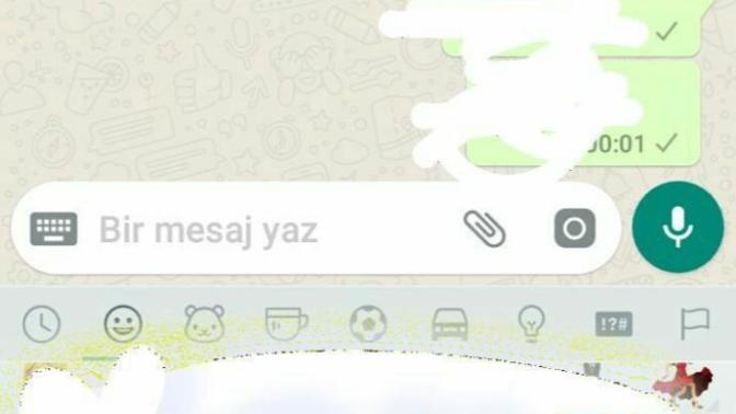 Lezbiyen ve Gay Emojisi Daha Önce Farkeden Oldumu. Bide whatsapp bunun farkındamı değilmi sizce?