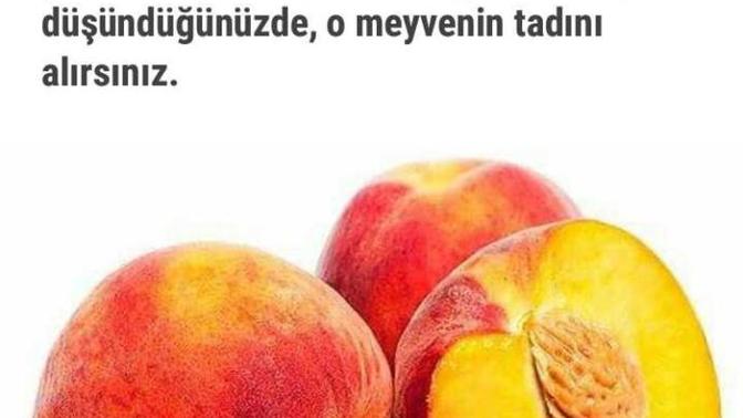 Sunu bir denermisiniz arkadaslar?