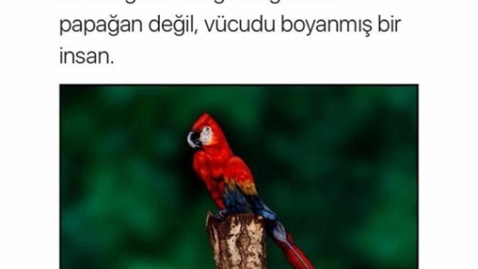 Vücudu Boyanmış İnsan Gören Var Mı? Ben Hala Papağan Görüyorum?