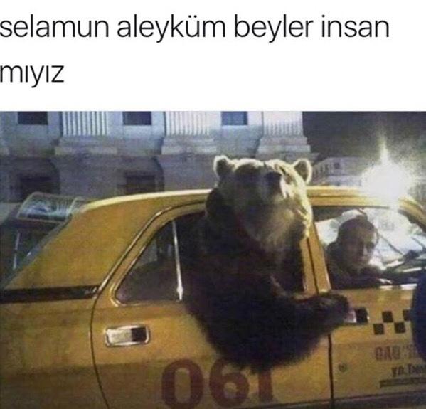 günaydın beyler bayanlar insan mıyız ?