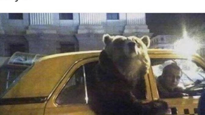 Günaydın beyler bayanlar insan mıyız?