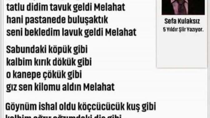 Hiç kimse size şiir yazdımı?
