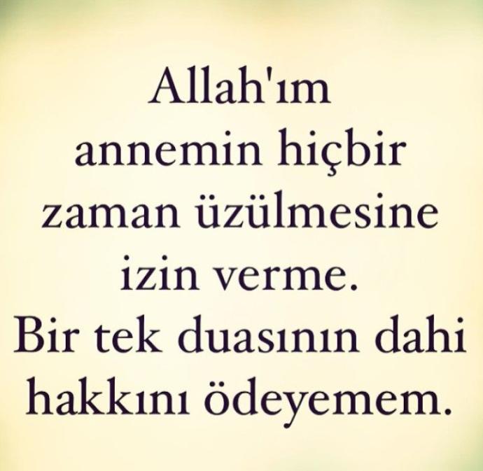 Annemi cok seviyorum amma aileme karisiyor ,siz olsaniz ne yapardiniz?