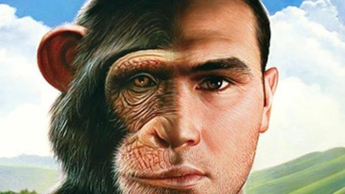 Bilime göre primat olduğumuzu biliyor muydunuz?