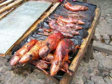Mangal'da fare ne dersiniz??