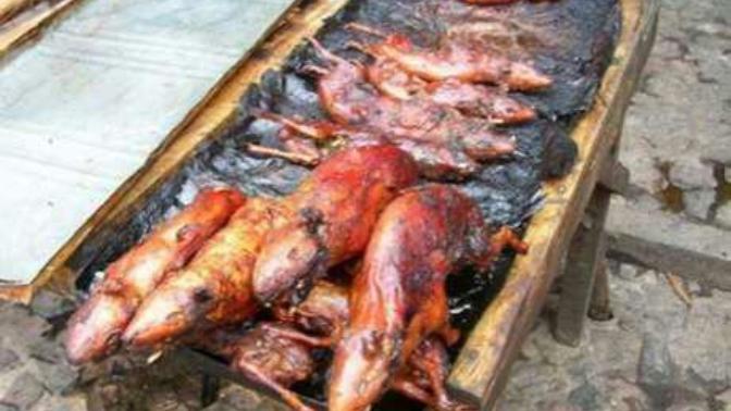 Mangal'da fare ne dersiniz?