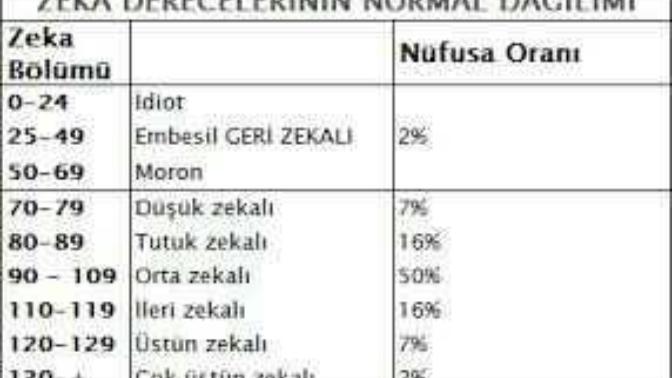Sizin IQ seviyesi kaç?
