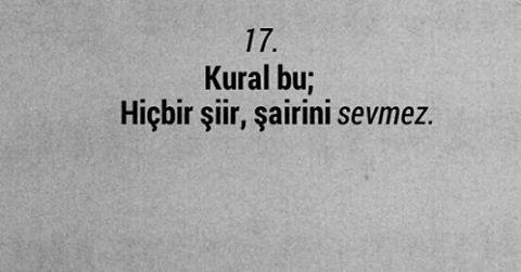 "Kural bu; hiçbir şiir şairini sevmez." ne demek açıklar mısınız?