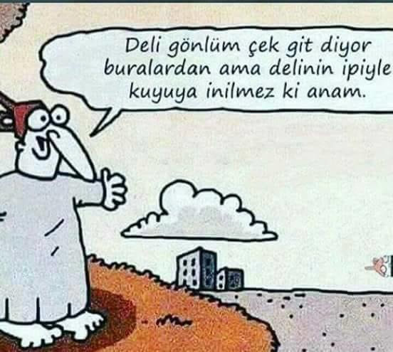 Az çok delilik var mı sende de?