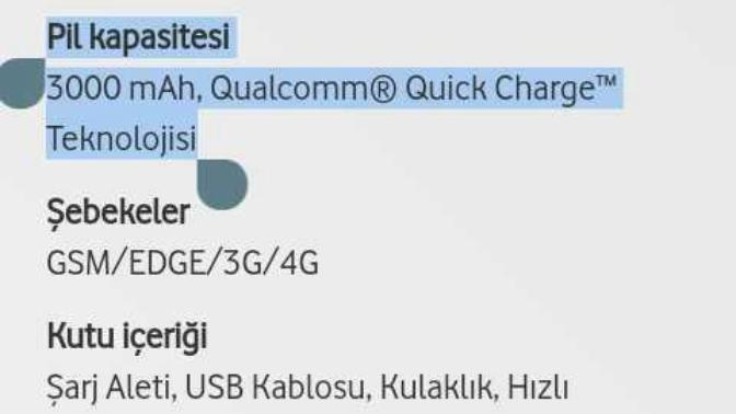 3000 mah batarya için uygun şarj aleti?